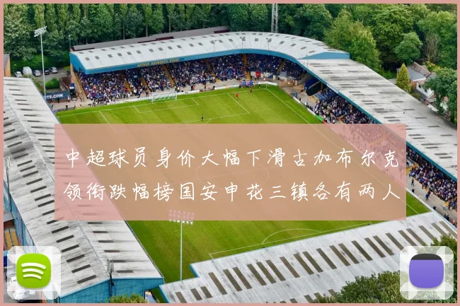 中超球员身价大幅下滑古加布尔克领衔跌幅榜国安申花三镇各有两人上榜