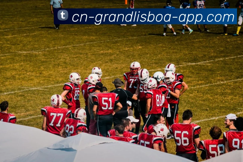 新葡京娱乐平台生态图