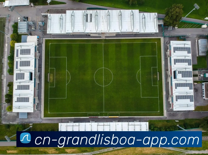 新葡京娱乐APP 封面图